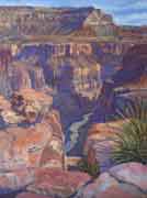 Grand Canyon - Toroweap Morning